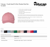 LLLG HAT - Valucap:YOUTH SMALL FIT bio-washed classic dad hat